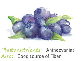 Blueberries offer Anthocyanins