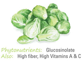 sulforaphane sulforaphane