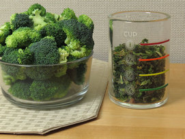 Fresh and dried broccoli comparisons Fresh and dried broccoli comparisons