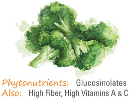 Dehydrated broccoli phytonutrients